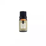 Essência Alecrim Silvestre 10 Ml