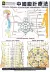 Mapa Terapia Fuzhen: Acupuntura Abdominal Chinesa